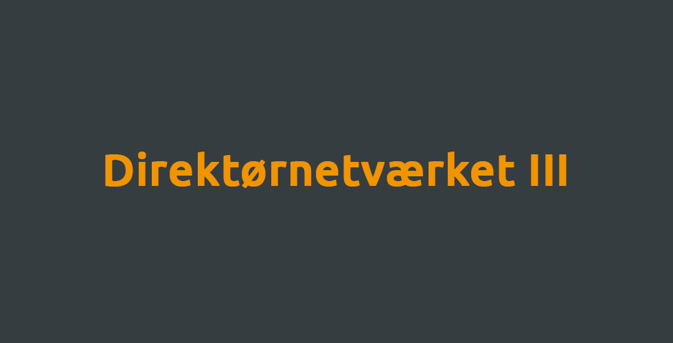 Direktørnetværket III