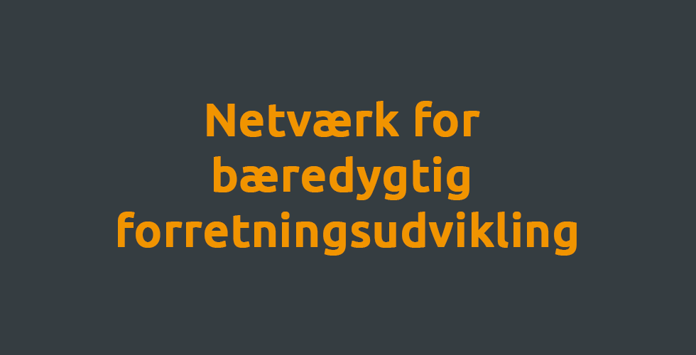 Netværk for bæredygtig forretningsudvikling