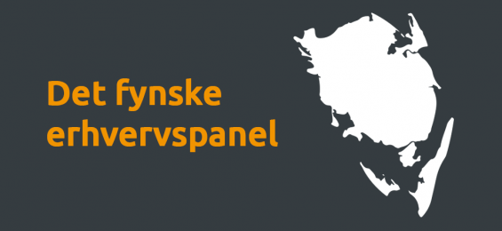 Det-fynske-erhvervspanel