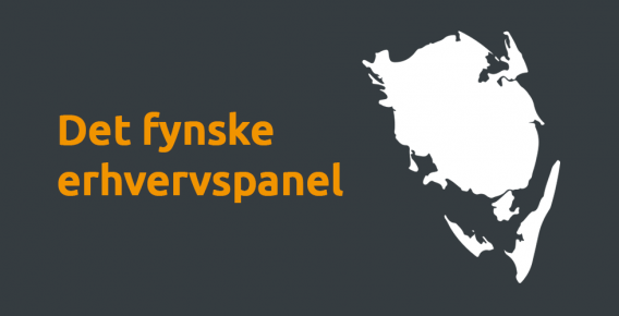 Det-fynske-erhvervspanel