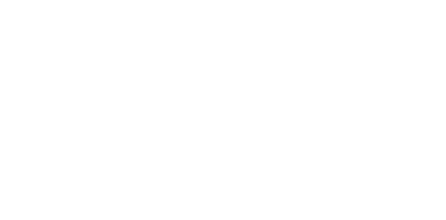 FE Model
